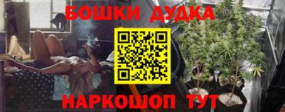 индика Будённовск