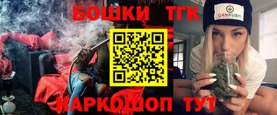 индика Будённовск