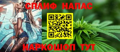 индика Будённовск