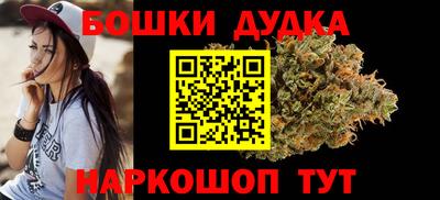 индика Будённовск